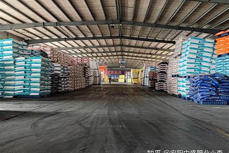 秋季养花少不了磷酸二氢钾,正确方法是重点,用不对等于“白”用