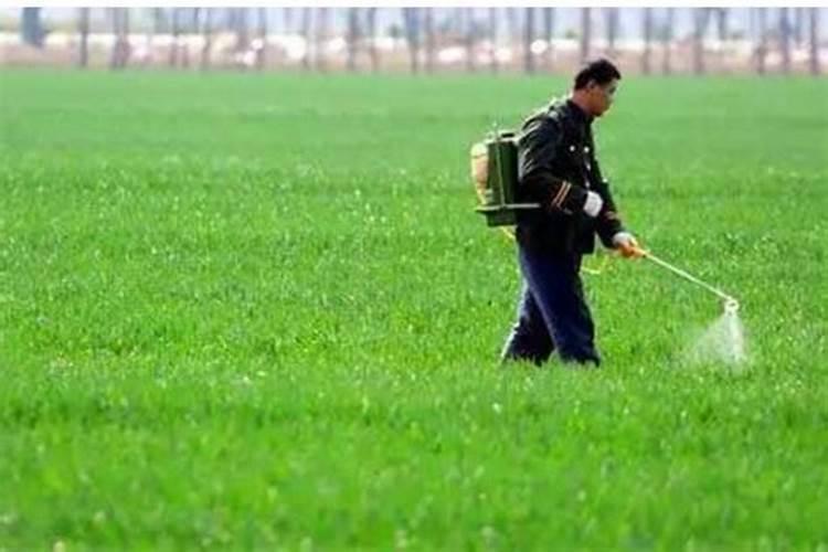 叶面肥和除草剂可以一起打吗