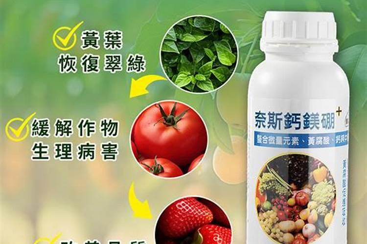 草莓施肥用什么肥料