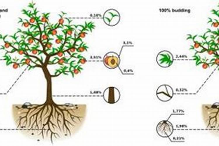 一斤尿素兑多少水