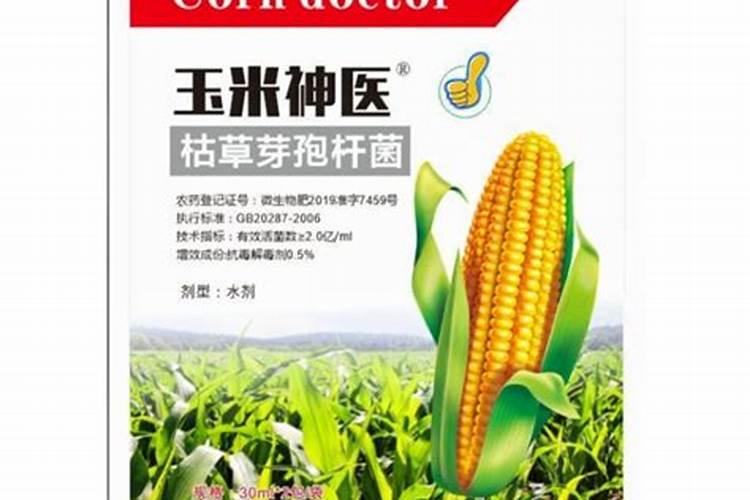 玉米褐斑病的特效杀菌剂