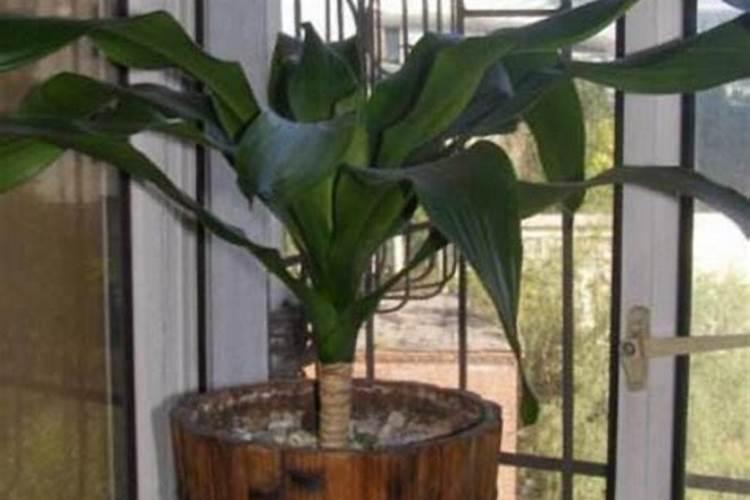 矿源黄腐酸钾哪个厂家好