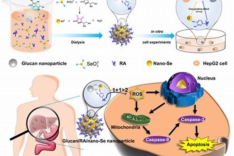 白血病患者要重视补硒