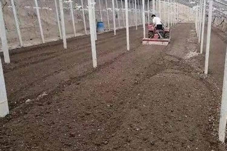 杀虫杀菌营养能一起混用吗