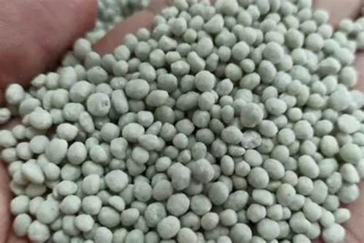 花生需要什么叶面肥