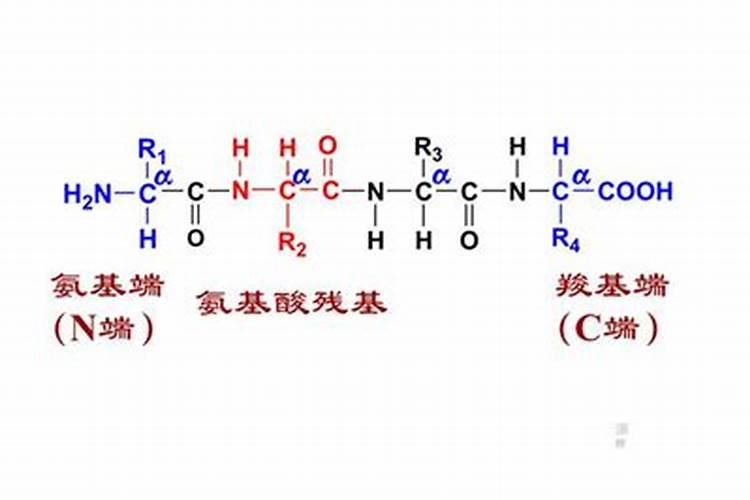 碳肥和氮肥有什么区别
