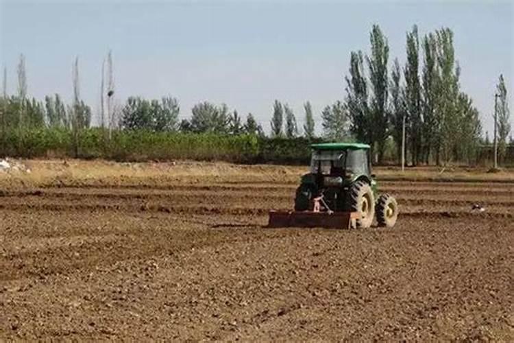 钾素肥料中钾含量的测定公式 钾肥中钾含量的测定方法