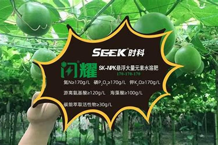 罗汉果种植用肥？