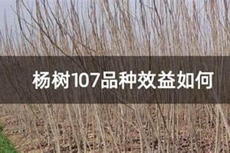 硝酸盐的主要成分是什么生活中那些物质中