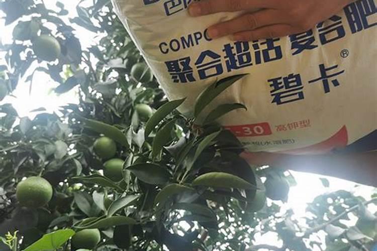 柑橘产量低,有什么促花技巧吗？