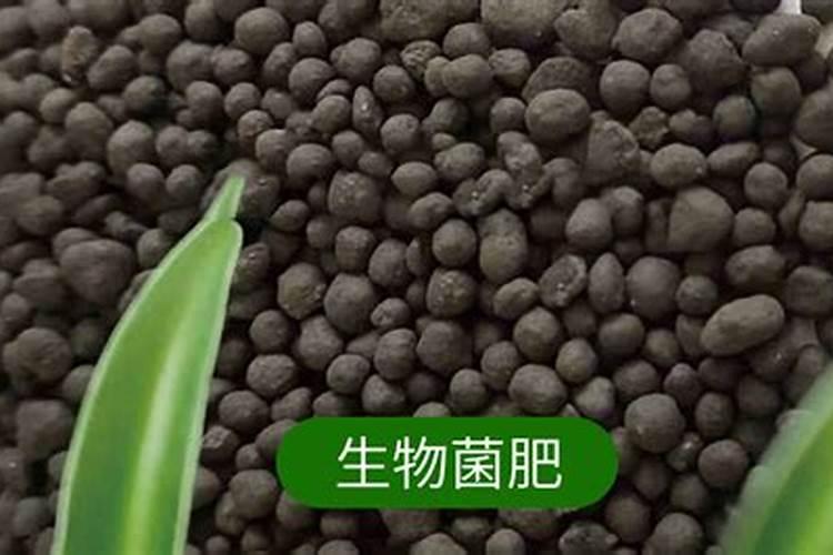 江苏省好徕斯肥业有限公司企业简介