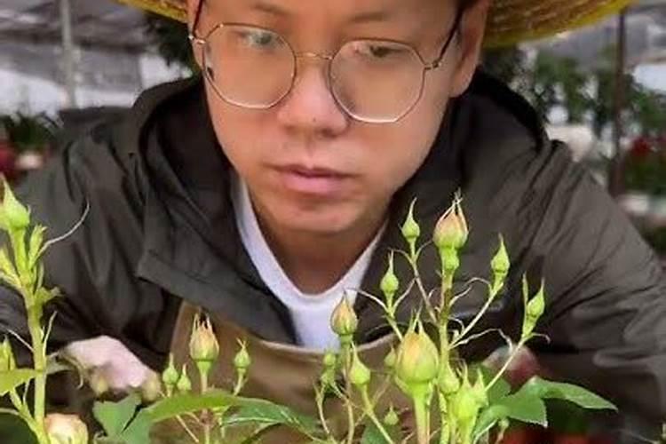 黄腐酸钾的使用方法