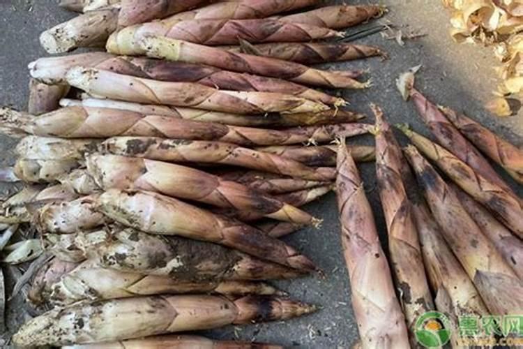 莴苣的种植方法是怎样的？用什么肥料可以让莴苣变高变粗？