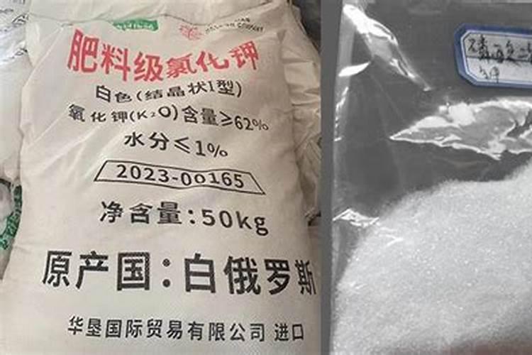 活性因子是什么意思