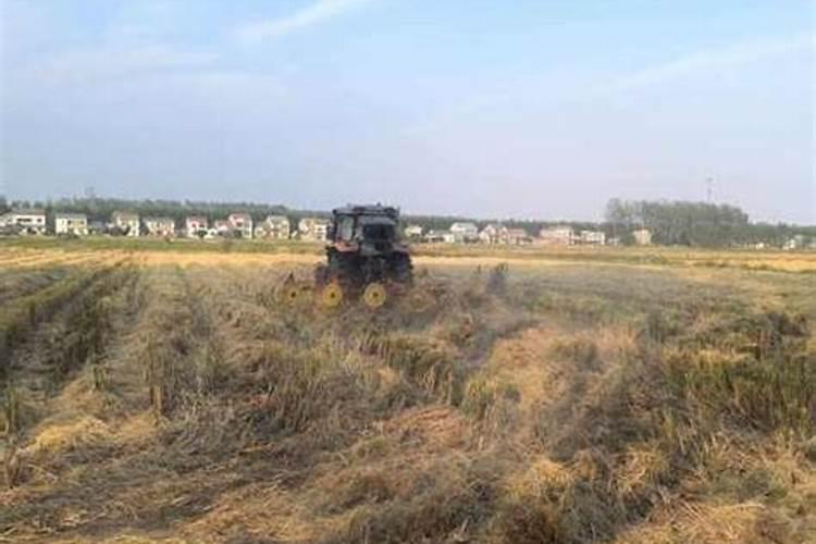 在家如何制作有机肥料 有机肥料的种类