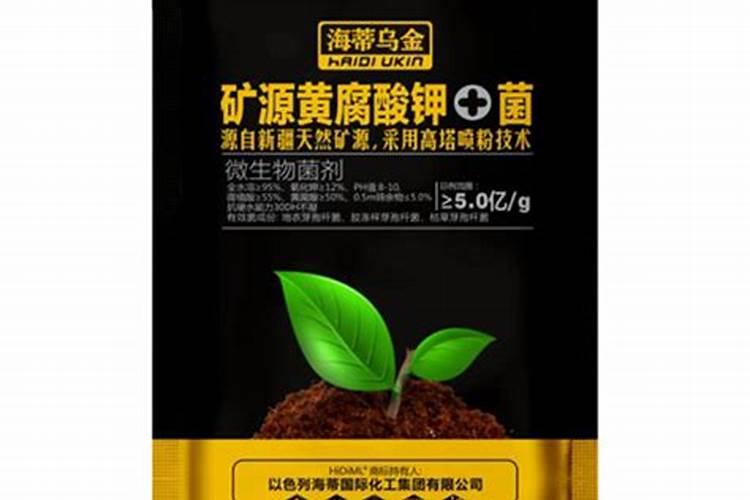 黄腐酸钾拌料栽培食用菌方法