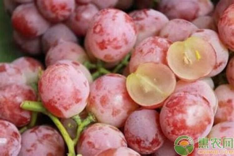 葡萄防裂果最佳方法