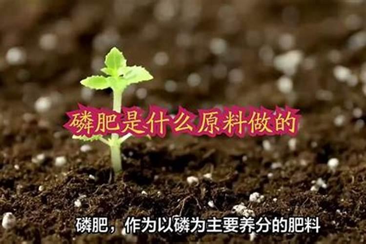 磷肥钾肥氮肥对植物有什么作用