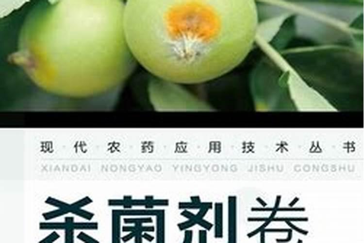 重辨三角梅施肥烧花怎么办？