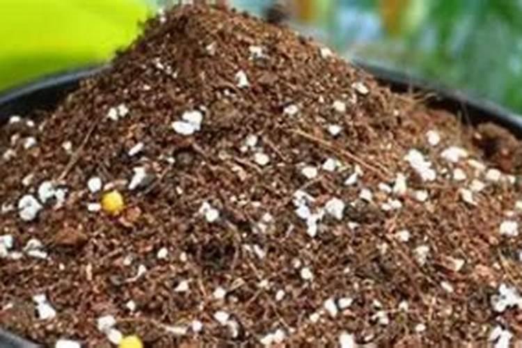 鉴别磷肥和钾肥的简易方法