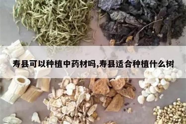 苍远微生物菌剂海藻鱼蛋白价格表