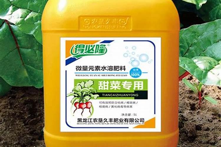 甜菜的种植怎么施肥？