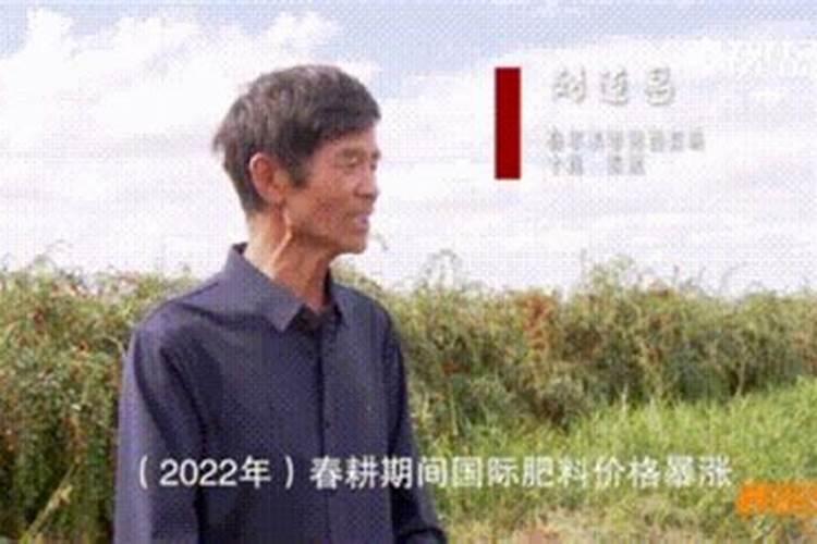 钾肥价格多少钱一吨