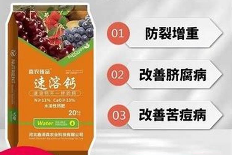 长了一年的柑橘施什么肥比较好？