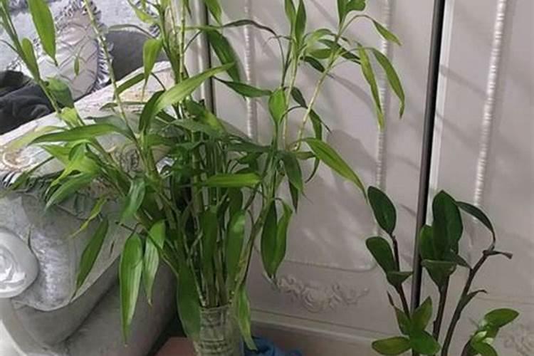 果树结果期追肥用什么肥料好？果树挂果期追肥用什么肥料好？