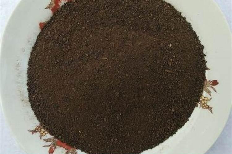 生黄豆做肥料最佳最简单方法