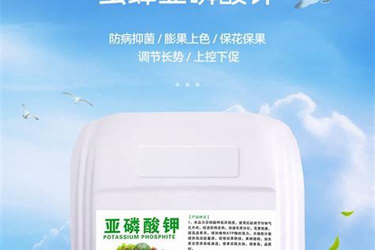 大蒜抽苔后用40斤水加磷酸二氢钾70克加120克喷施大蒜可以吗？