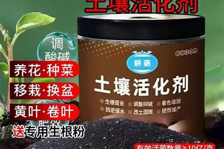 种植萝卜常用增产叶面肥有哪些？ 根茎膨大期使用膨大剂促增收