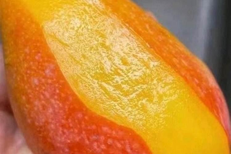 芒果树一棵用多少鱼蛋白液体肥料