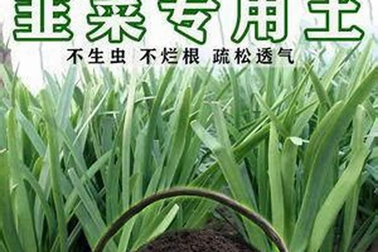 葡萄追肥用什么水溶肥好？膨果增甜的合适用量