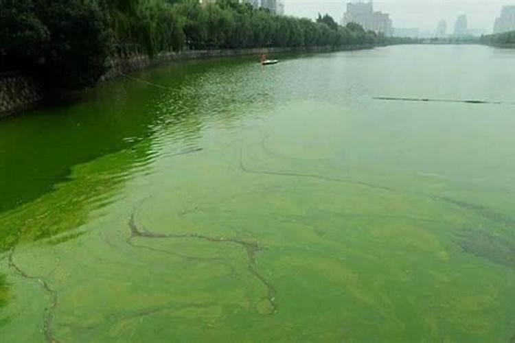 番茄种植土壤氮磷钾含量