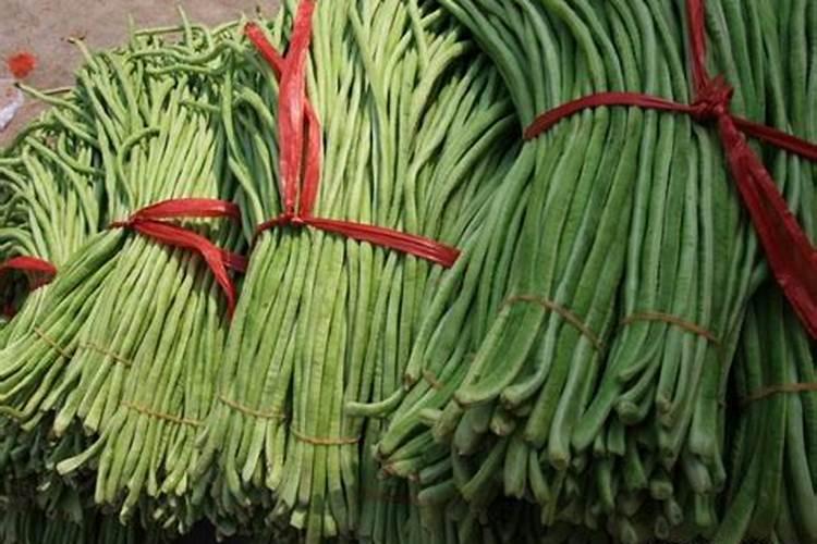 豇豆的种植方法