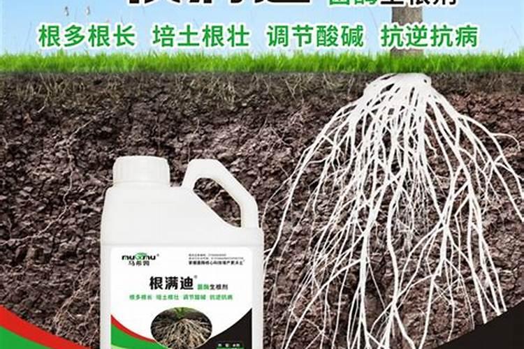 叶面肥喷施后几天见效