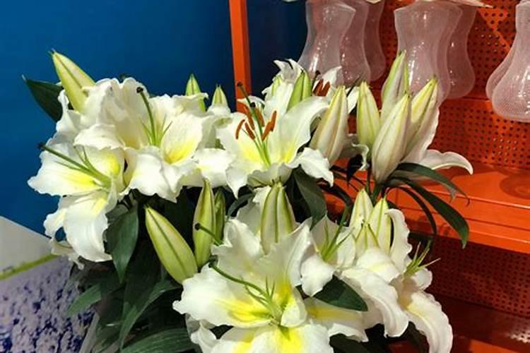 百合打花后可以施肥吗