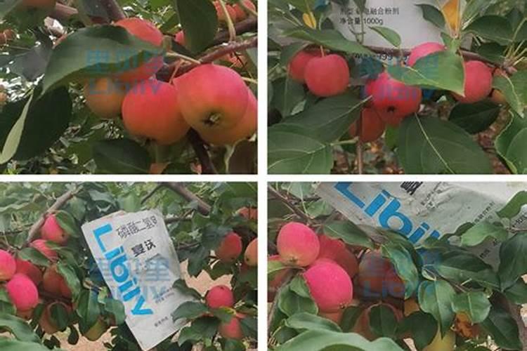 小麦“一喷三防”,喷的啥？防的啥？注意,今年用药有变化!