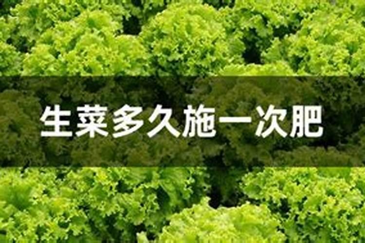 如何利用好冲施肥才能让马铃薯高产？
