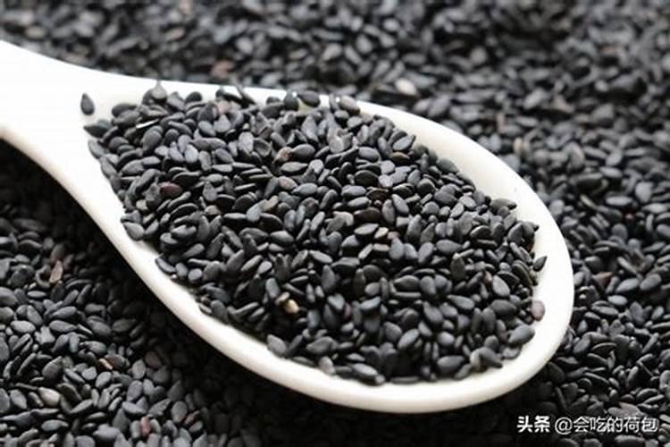 杨树用什么肥料长得快？