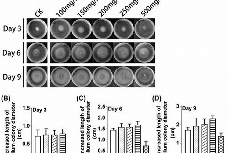 中微肥具体包括什么肥料？