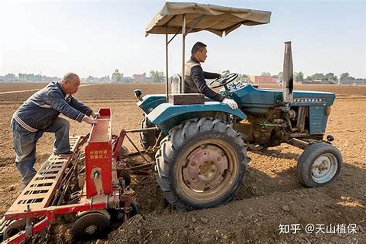 怎样正确使用尿素施肥