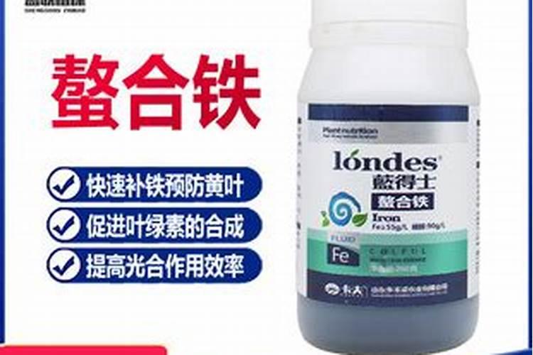 用什么东西可以自制含铁量的肥料？