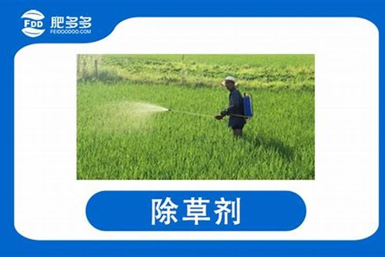 马铃薯第一次冲肥什么好？尿素还是复合肥