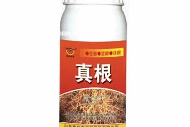 甜瓜打什么叶面肥最好？甜瓜施肥时间及方法？