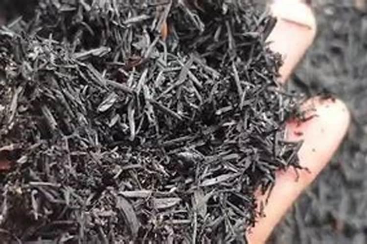 多肉最好的肥料是什么