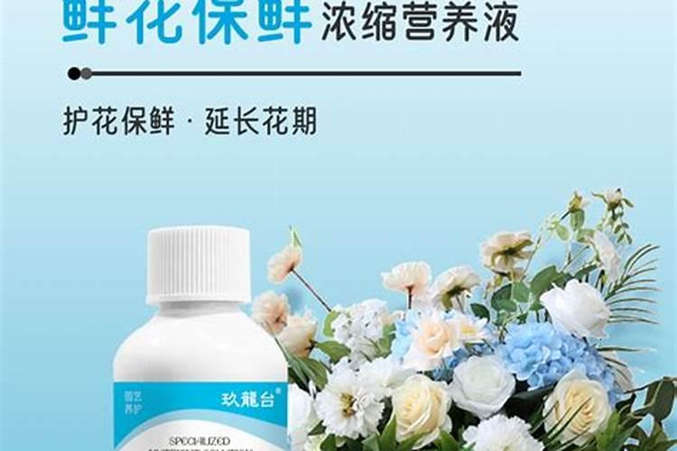 芝麻酱怎么样发酵呢？做底肥用