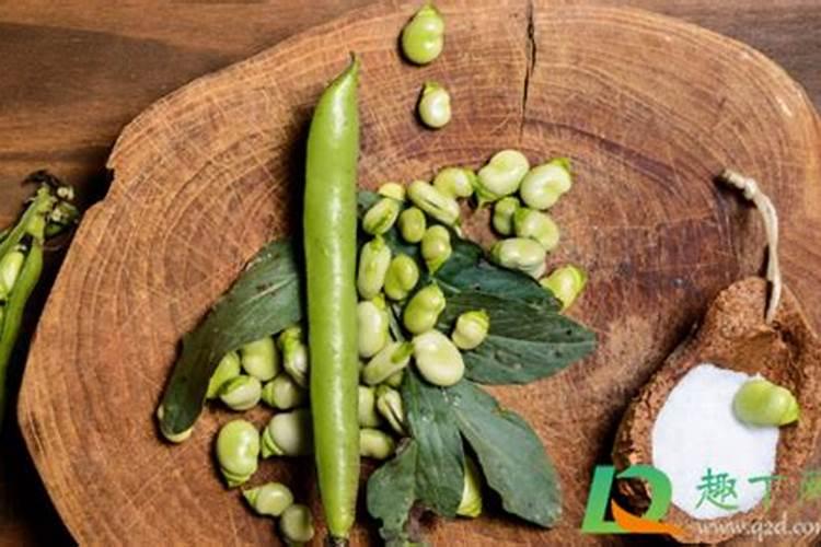 饥荒海难DLC新增食谱合成表一览介绍饥荒海难DLC新增食谱合成表一览是什...