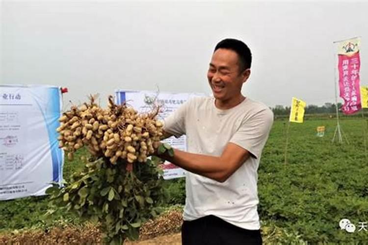 秸秆还田机的工作原理